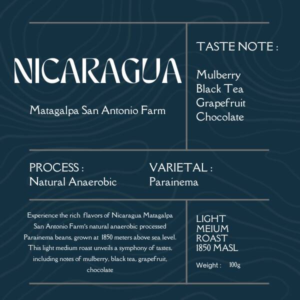 Nicaragua Matagalpa San Antonio ( Natural Anaerobic ) - 0