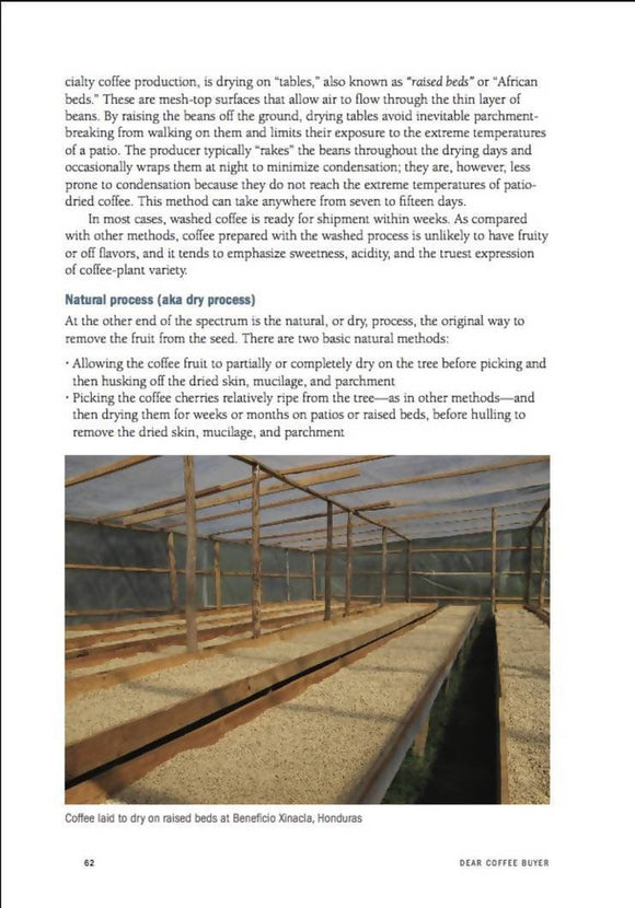 DEAR COFFEE BUYER - A guide to sourcing green coffee by Ryan Brown - BUNAMARKET