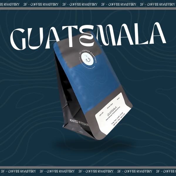 Guatemala Huehuetenango Finca La Bolsa El Panal (Natural Process )-1