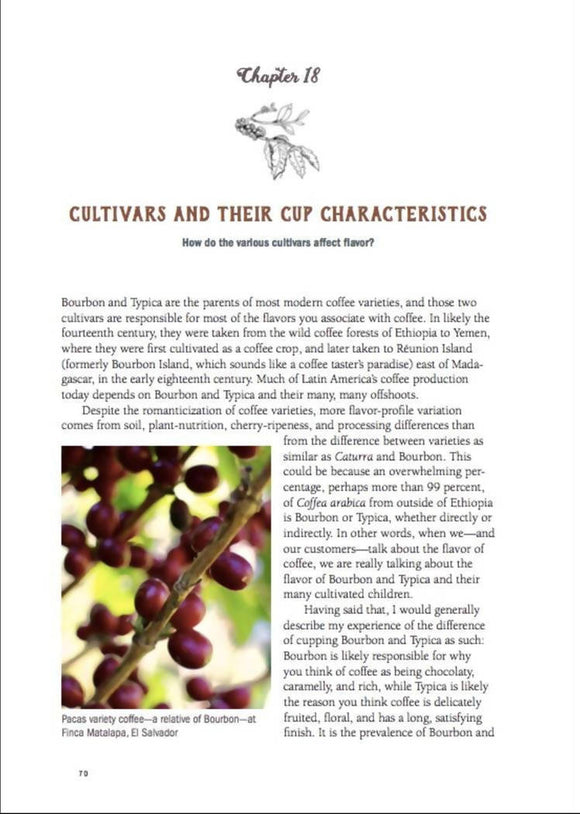 DEAR COFFEE BUYER - A guide to sourcing green coffee by Ryan Brown - BUNAMARKET