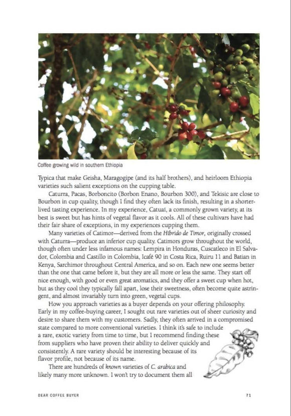 DEAR COFFEE BUYER - A guide to sourcing green coffee by Ryan Brown - BUNAMARKET